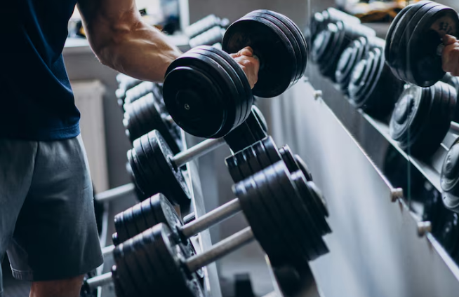 MUSCLE BUILDING